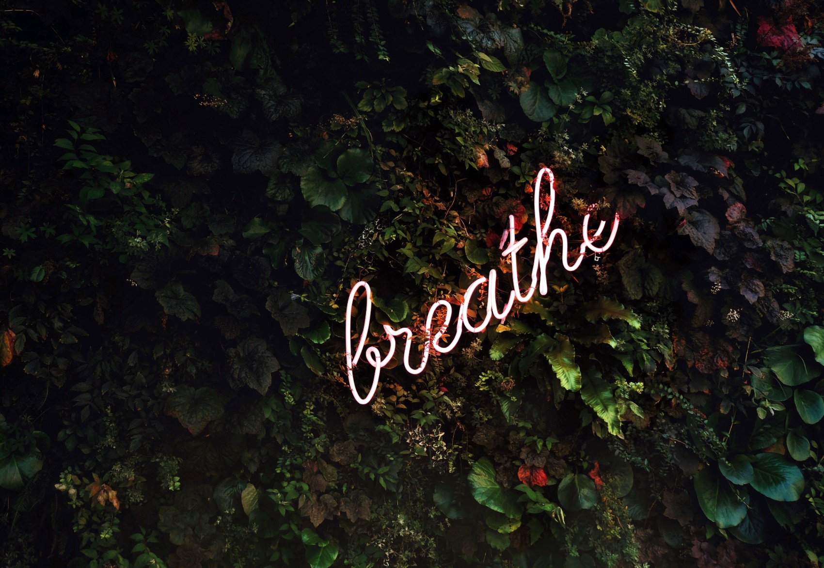 Breathe